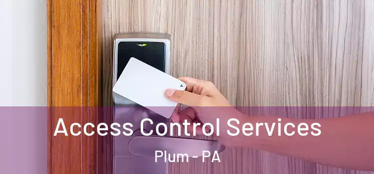 Access Control Services Plum - PA