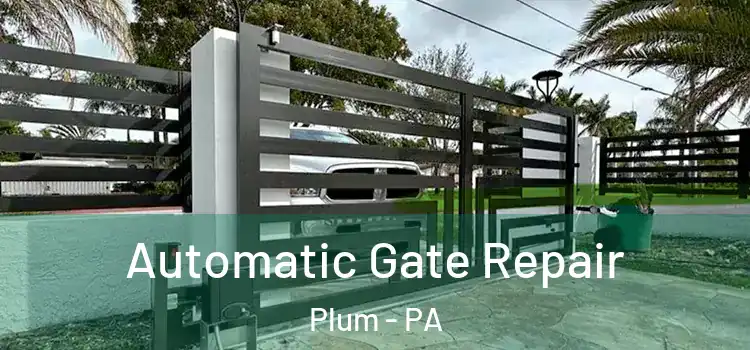 Automatic Gate Repair Plum - PA