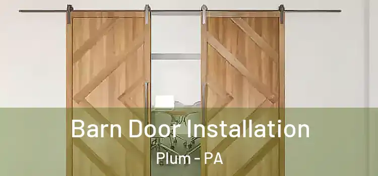 Barn Door Installation Plum - PA