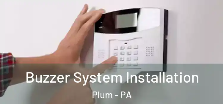 Buzzer System Installation Plum - PA
