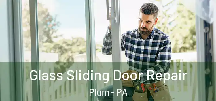  Glass Sliding Door Repair Plum - PA