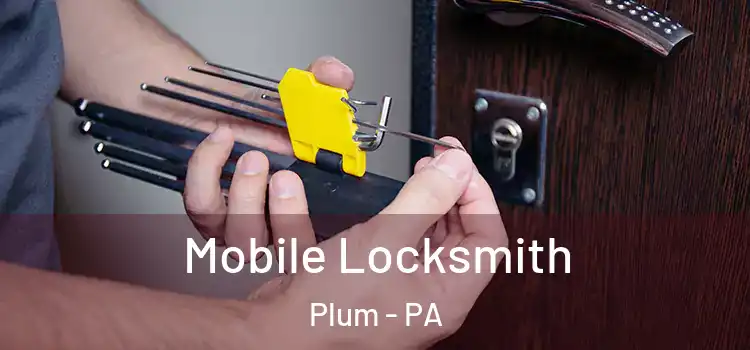 Mobile Locksmith Plum - PA