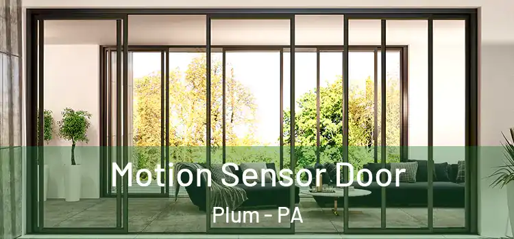 Motion Sensor Door Plum - PA