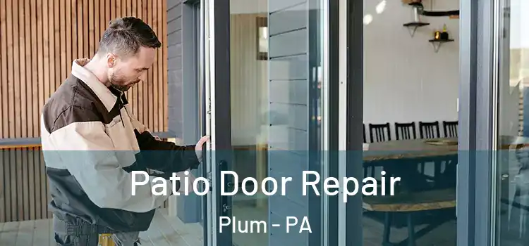 Patio Door Repair Plum - PA