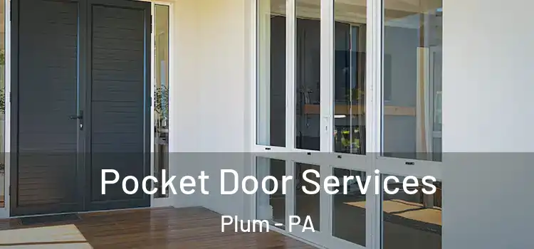 Pocket Door Services Plum - PA