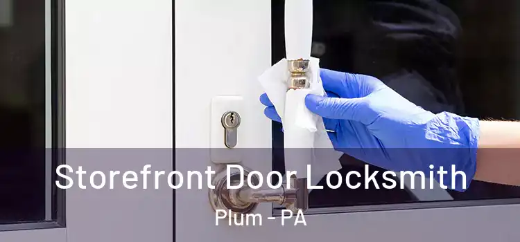 Storefront Door Locksmith Plum - PA